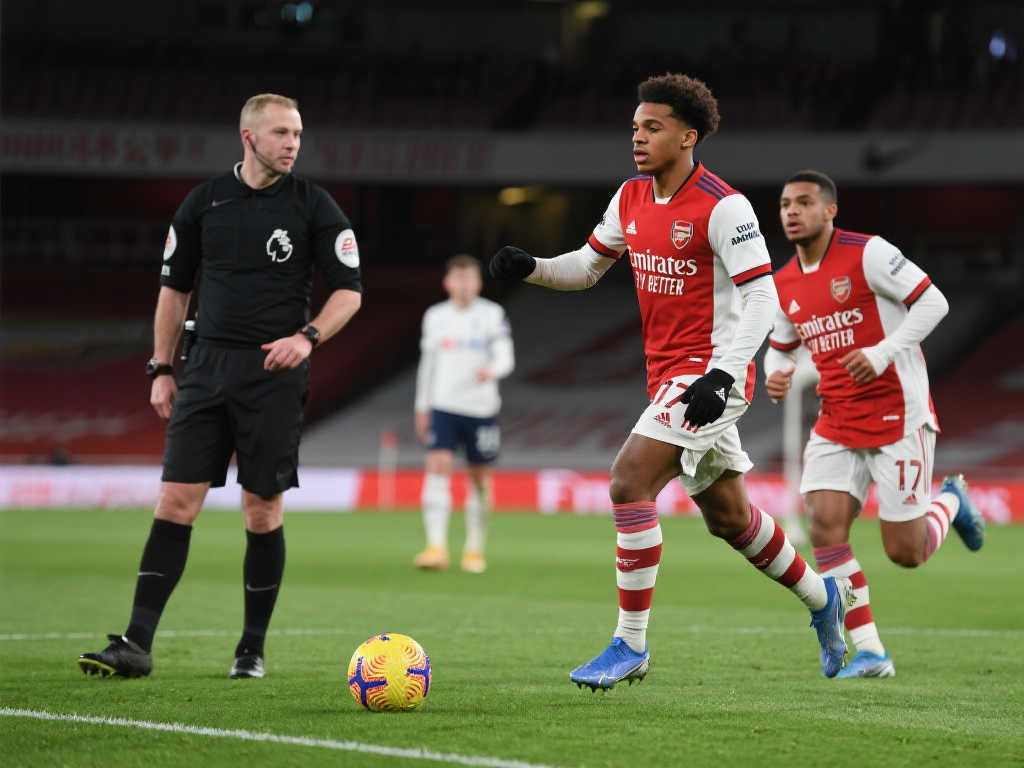 提供了对付 提供了对付